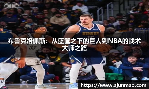 布鲁克洛佩斯：从篮筐之下的巨人到NBA的战术大师之路