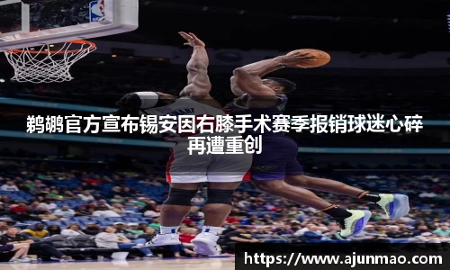 鹈鹕官方宣布锡安因右膝手术赛季报销球迷心碎再遭重创